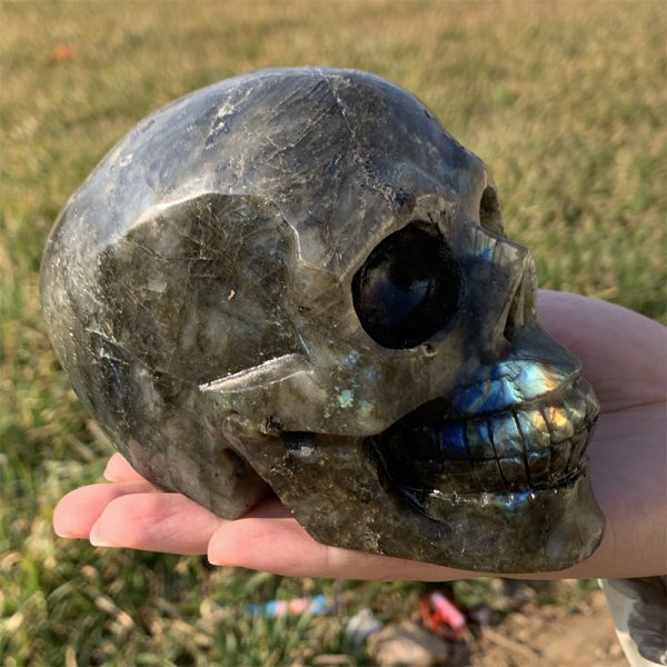 2.76 lb Natural Labradorite Skull Carving